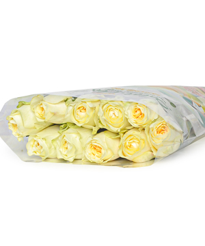 Hồng Victor (10 cành)