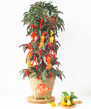 Kim ngân lượng tài lộc 3