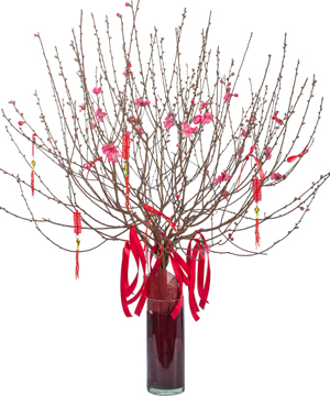 Cành đào đón xuân