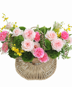 Fleur de Grace