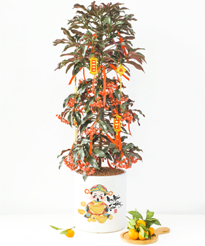 Kim ngân lượng trụ 22