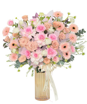 The Soft Bloom