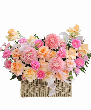 Blossom garden