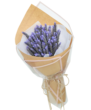 Lavender love