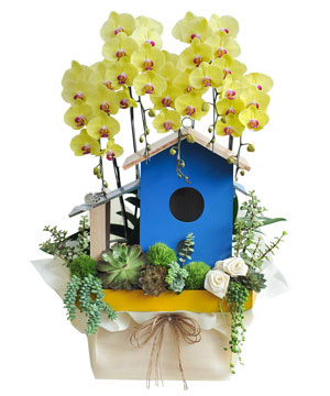 Quà tặng hồ điệp 06