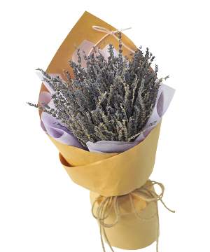 Bó hoa Lavender khô