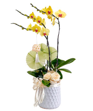 Quà tặng hồ điệp 09