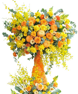 Rực rỡ vươn xa