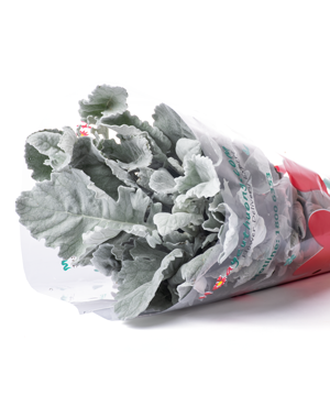 Lá tai lừa (200gr)