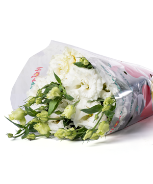 Cát tường nhật trắng (500g)