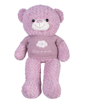 Teddy Pink I Love You