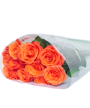 Hồng quốc vương (10 cành)