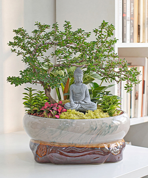 Vạn Sự An