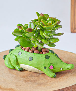 Leafy Croc