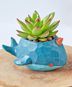Leafy Whale