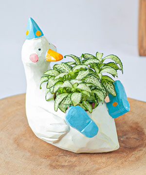 Leafy Duck