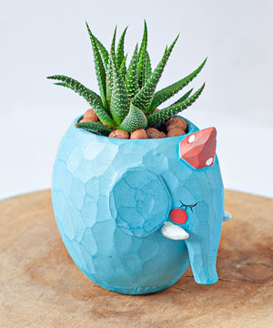 Leafy Elephant