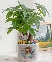 Plant Happiness Grow Love