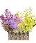 Garden Whimsy