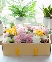 Radiant flower box