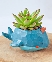 Leafy Whale