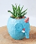 Leafy Elephant