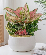 Vạn Lộc Cát Tường