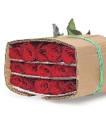 Hồng đỏ Ecuador (30 cành)