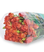 Hồng chùm chocolate (10-12 cành)