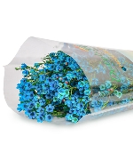 Thanh liễu xanh dương (300gr)