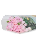 Hồng chùm plume (10 cành)