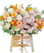 Congrats mini size 3