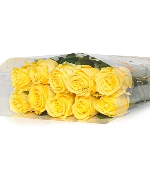 Hồng vàng mai (10 cành)