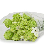 Thiên nga mắt đen (10 cành)