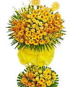 Con đường thành công