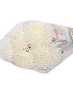 Cúc mẫu đơn trắng DL - A (5 cành)