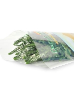 Đuôi phụng trắng (10 cành)