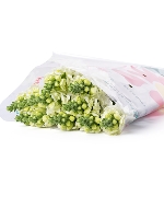 Mõm sói trắng (10 cành - Loại A)