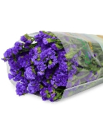 Salem tím đậm (500g)