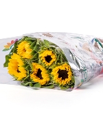 Hướng dương (5 cành)