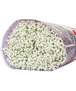 Baby trắng TQ (1kg)