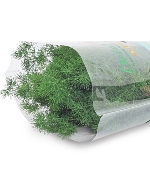 Lá tùng nho (100gr)