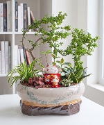 Green Garden