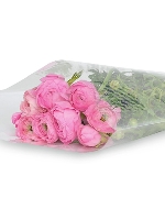 Mao lương hồng (10 cành)