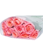 Cam London Ohara (10 cành)