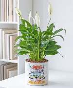 Đừng Bỏ Cuộc