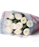 Cúc Lưới Trắng (10 cành)