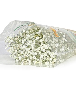 Baby trắng (100gr)