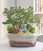Vạn Sự An