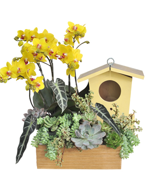 Birdhouse Garden 03